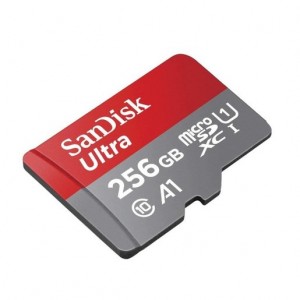 SanDisk SDSQUAR-256G-GN6MN